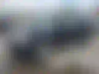Vehicle Image- 2008 Ford Edge