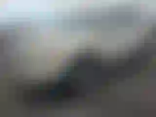 Vehicle Image- 2008 Ford Edge
