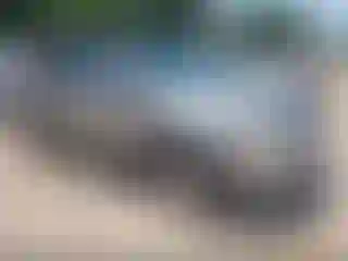 Vehicle Image- 2008 Ford Edge
