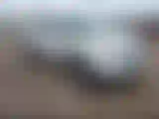 Vehicle Image- 2009 Ford Edge