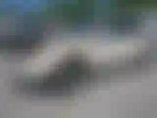 Vehicle Image- 2008 Ford Edge