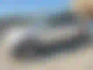 Vehicle Image- 2008 Ford Edge