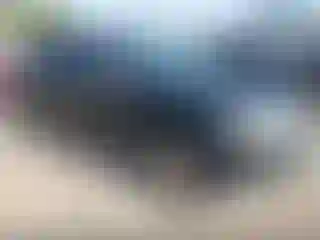 Vehicle Image- 2008 Ford Edge
