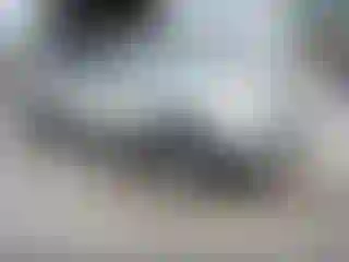 Vehicle Image- 2008 Ford Edge