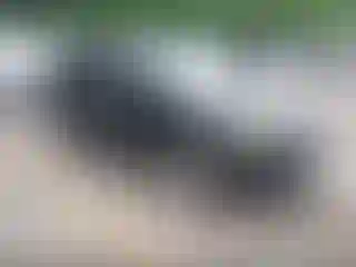 Vehicle Image- 2011 Ford Edge