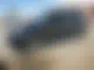 Vehicle Image- 2011 Ford Edge
