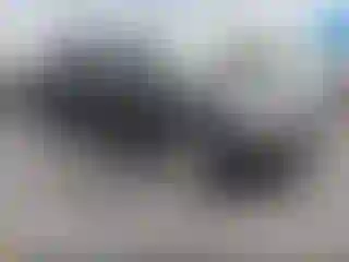 Vehicle Image- 2011 Ford Edge