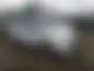 Vehicle Image- 2011 Ford Edge