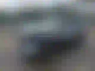 Vehicle Image- 2010 Ford Edge