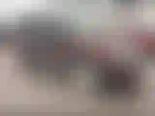 Vehicle Image- 2011 Ford Edge