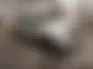 Vehicle Image- 2013 Ford Edge
