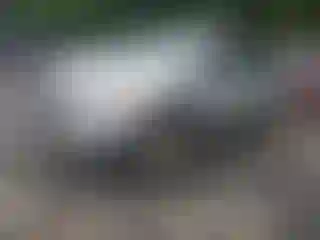 Vehicle Image- 2013 Ford Edge