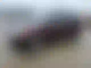 Vehicle Image- 2011 Ford Edge