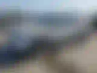 Vehicle Image- 2010 Ford Edge