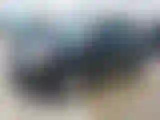 Vehicle Image- 2011 Ford Edge