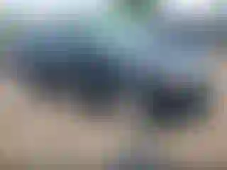 Vehicle Image- 2010 Ford Edge