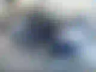 Vehicle Image- 2011 Ford Edge