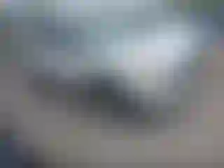 Vehicle Image- 2011 Ford Edge