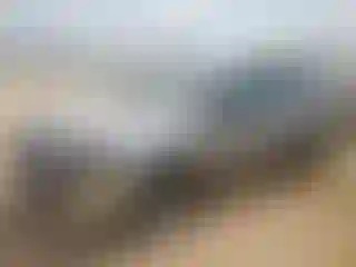 Vehicle Image- 2013 Ford Edge
