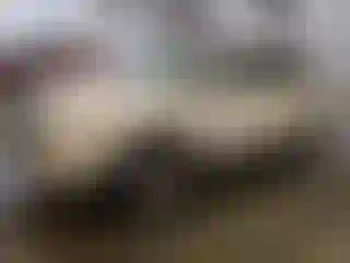 Vehicle Image- 2013 Ford Edge