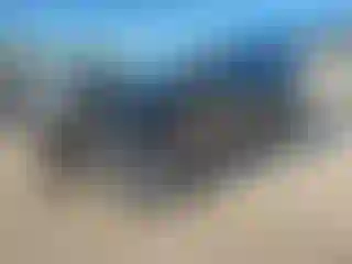 Vehicle Image- 2011 Ford Edge