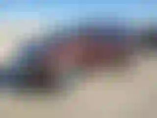 Vehicle Image- 2012 Ford Edge