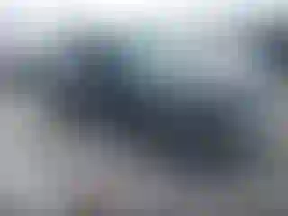 Vehicle Image- 2013 Ford Edge