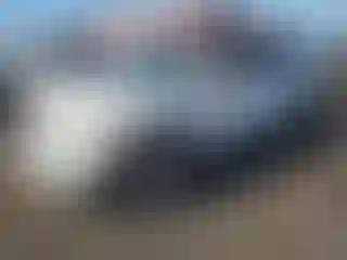 Vehicle Image- 2010 Ford Edge