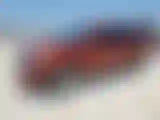 Vehicle Image- 2014 Ford Edge