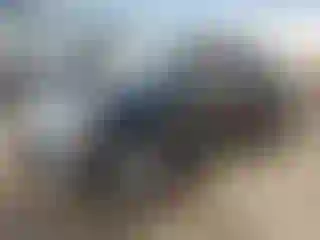 Vehicle Image- 2010 Ford Edge