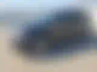 Vehicle Image- 2013 Ford Edge