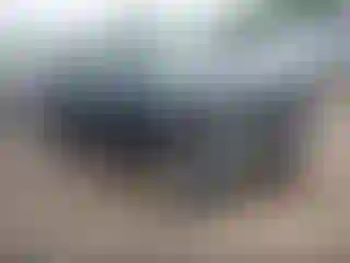 Vehicle Image- 2014 Ford Edge
