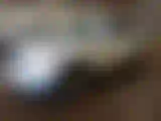 Vehicle Image- 2010 Ford Edge