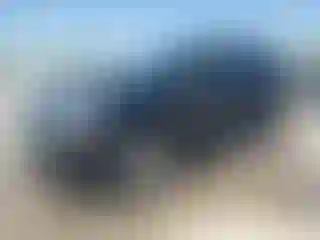 Vehicle Image- 2014 Ford Edge