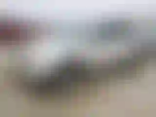 Vehicle Image- 2010 Ford Edge