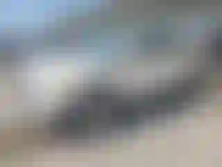 Vehicle Image- 2011 Ford Edge