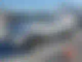 Vehicle Image- 2011 Ford Edge