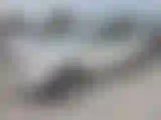 Vehicle Image- 2010 Ford Edge