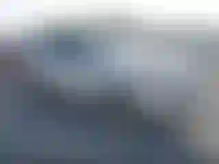 Vehicle Image- 2010 Ford Edge
