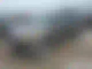 Vehicle Image- 2014 Ford Edge