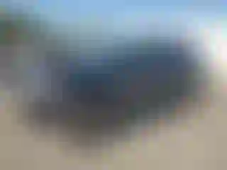 Vehicle Image- 2013 Ford Edge