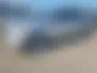 Vehicle Image- 2012 Ford Edge