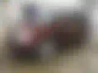 Vehicle Image- 2010 Ford Edge