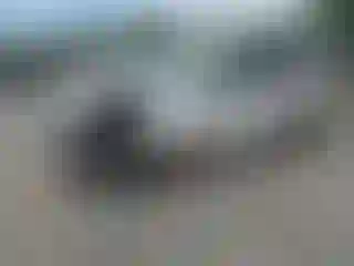 Vehicle Image- 2011 Ford Edge
