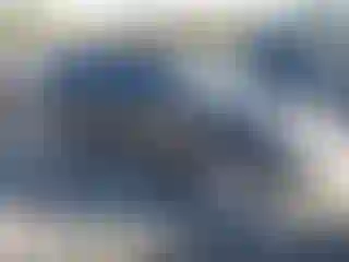 Vehicle Image- 2012 Ford Edge