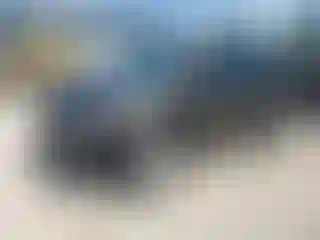 Vehicle Image- 2011 Ford Edge
