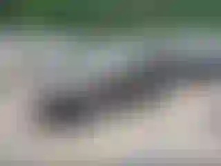 IMPORTOWO.pl