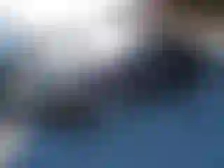 Vehicle Image- 2013 Ford Edge