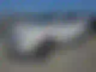 Vehicle Image- 2010 Ford Edge