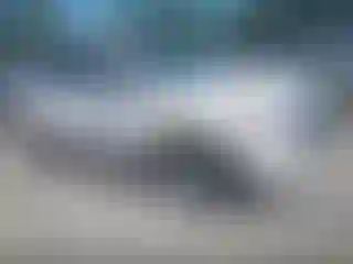 Vehicle Image- 2013 Ford Edge